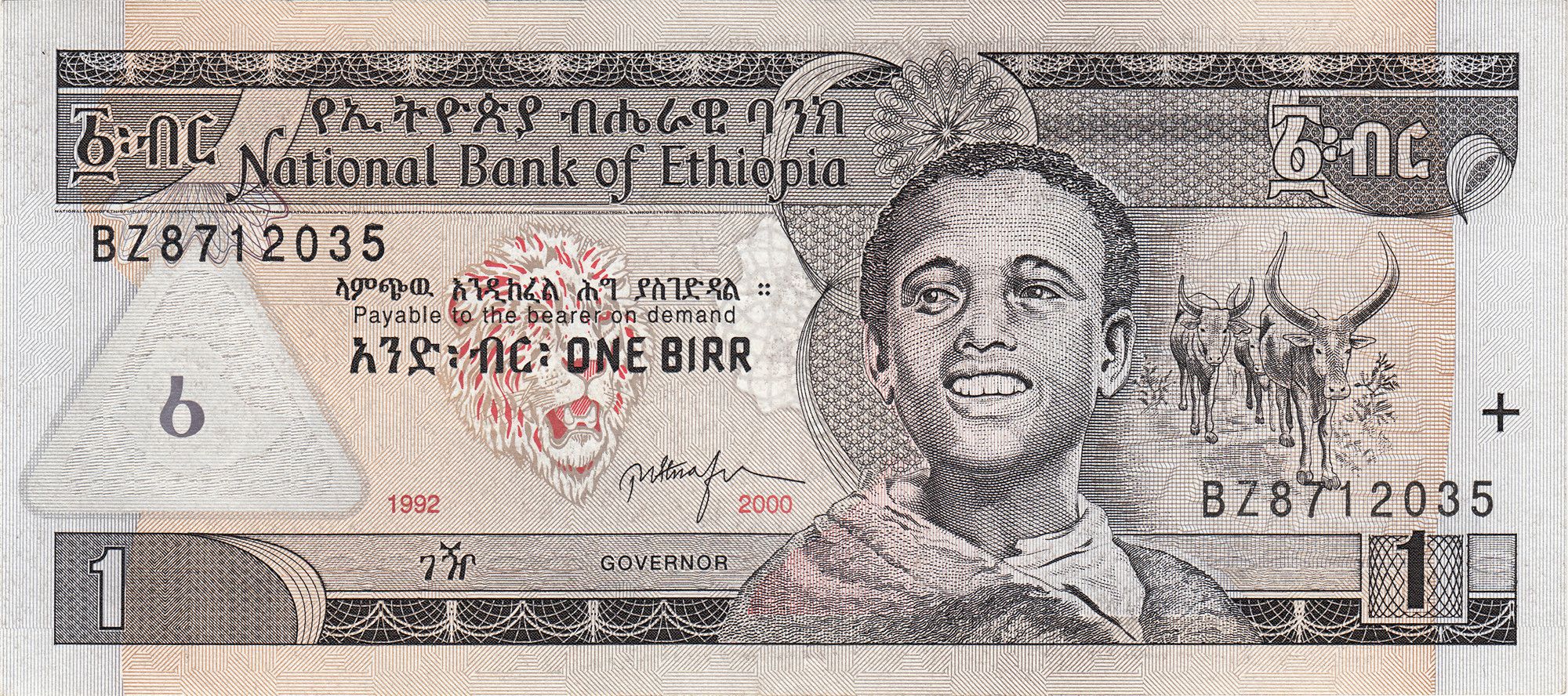 Ethiopia approves landmark bill to allow foreign banks to operate locally, ending decades of protectionism and opening its economy.