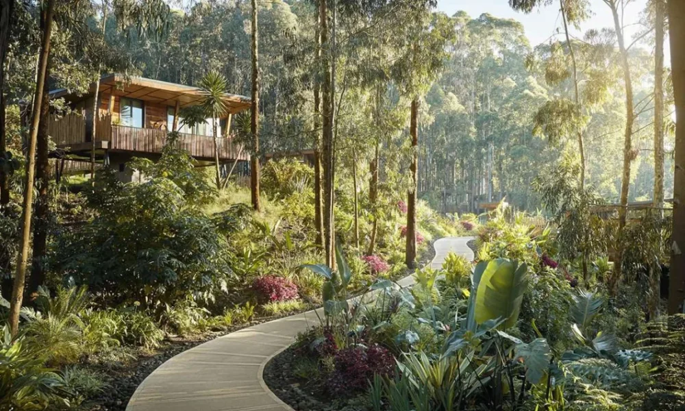 Explore Rwanda’s best hotels for gorilla trekking & lakeside escapes. From Kigali Serena to Bisate Lodge, experience eco-luxury.