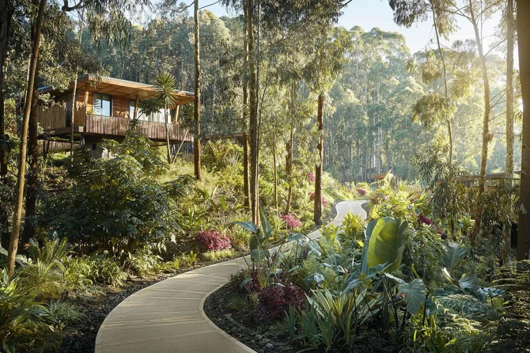 Explore Rwanda’s best hotels for gorilla trekking & lakeside escapes. From Kigali Serena to Bisate Lodge, experience eco-luxury.