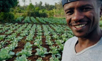 Agronomist Fred Munene is transforming Kenyan farming using data, drones, and digital tools—earning Ksh400K monthly and training 300+ farmers.