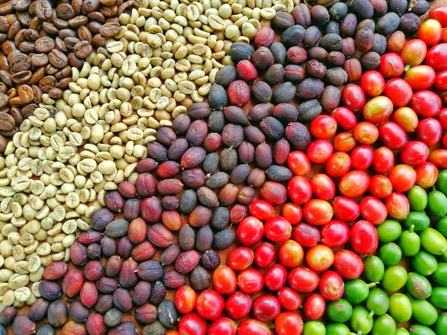 The US market accounted for 7% of Ethiopia’s coffee exports last year, with growth expected. The new tariff could derail momentum for premium coffee brands.