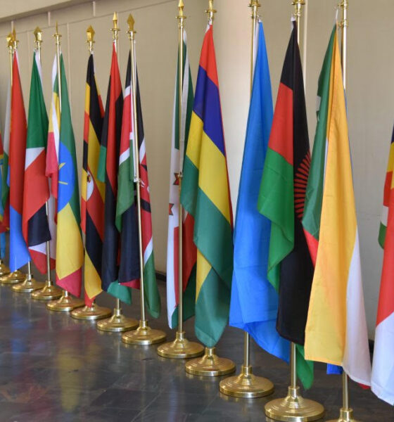 Economic scale of the COMESA bloc underscores stakes. With a combined GDP exceeding $1 trillion and a population of over 560 million, even mid-sized mergers now fall under enhanced regional regulatory oversight.