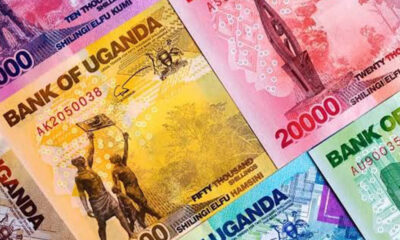 Uganda’s banking sector posted a 36% jump in net after-tax profits for the year ended June 2025, driven by higher interest income and improved underwriting. Strong earnings are strengthening capital buffers and enhancing overall banking sector resilience in early 2026.