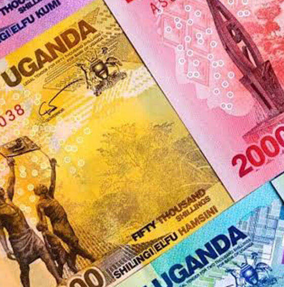 Uganda’s banking sector posted a 36% jump in net after-tax profits for the year ended June 2025, driven by higher interest income and improved underwriting. Strong earnings are strengthening capital buffers and enhancing overall banking sector resilience in early 2026.