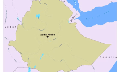 Commercial Bank of Ethiopia leads Ethiopia’s best-run firms 2025, posting profits of ETB 62 billion (~$1.3 B USD). Strong deposit growth and digital banking expansion continue to anchor its dominance in the financial sector.