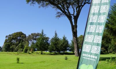 Dividend Leadership Co-operative Bank of Kenya delivers dividend yields of up to 10%, outperforming many peers on the NSE. Its consistent payouts make it a preferred stock for income-focused investors.