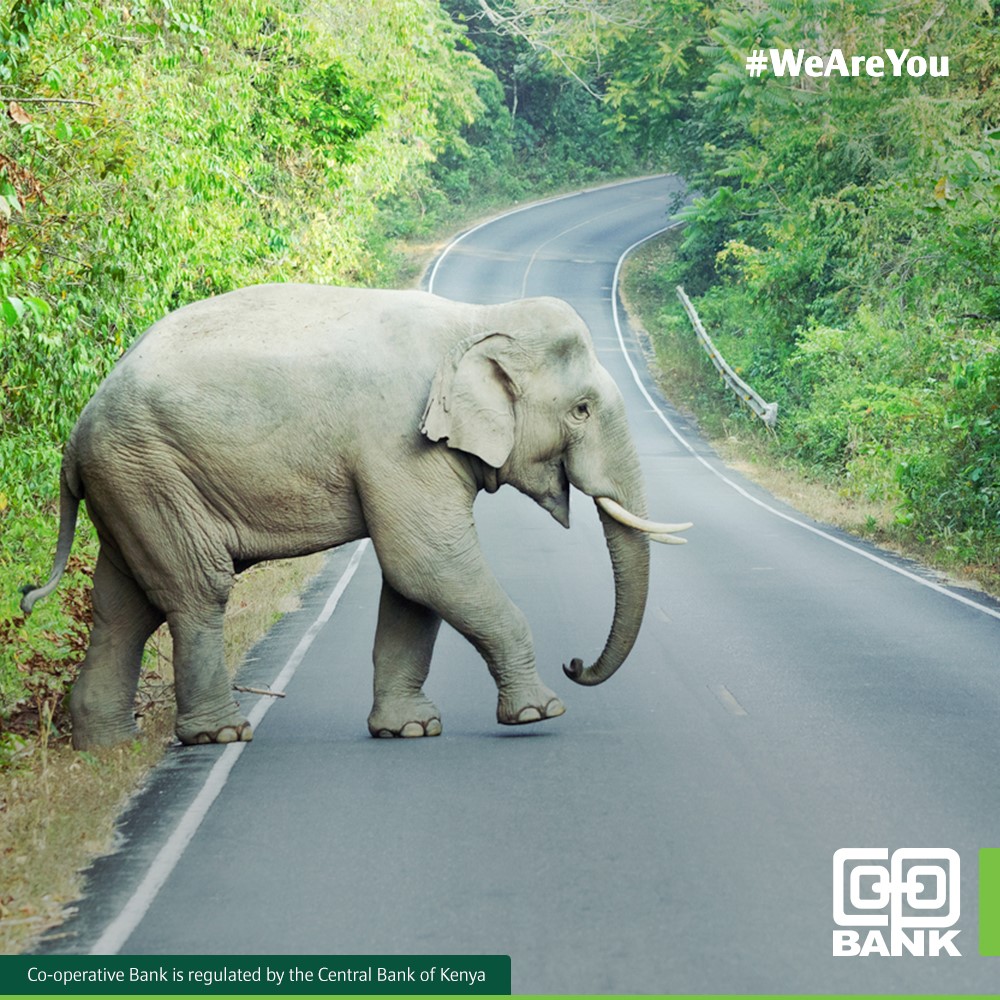 SME Lending Strategy Divide Equity Bank Kenya leads in SME loan volumes, disbursing billions through digital channels. Co-operative Bank of Kenya, however, prioritizes asset quality and repayment discipline over scale.