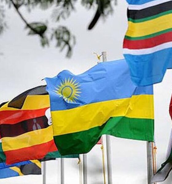 East Africa continues to record strong economic growth, projected at around 6.1%. However, this expansion is increasingly constrained by tightening capital inflows across key funding channels.