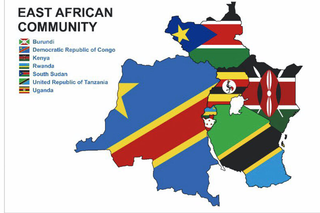 Brookside Dairy’s cross-border network highlights the scale of East Africa corporate expansion. The company processes hundreds of millions of litres annually across multiple markets.