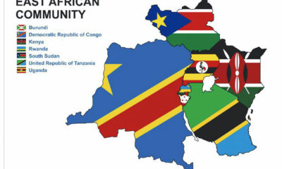 Brookside Dairy’s cross-border network highlights the scale of East Africa corporate expansion. The company processes hundreds of millions of litres annually across multiple markets.