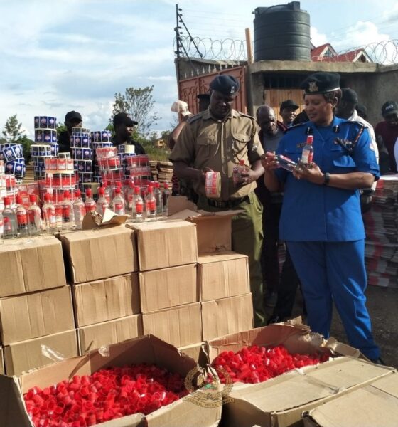 Rising excise taxes continue to reshape Kenya’s alcohol industry. The impact is most visible in the shrinking mass-market segment.