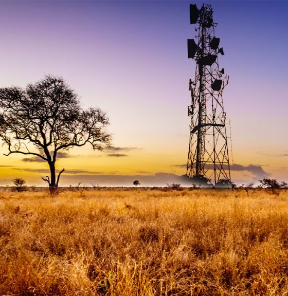 Data has overtaken voice as the main revenue driver in East Africa’s telecom sector. The shift is transforming business models across the industry.