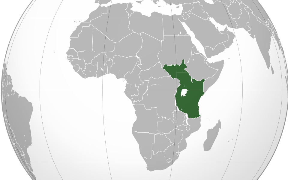 Seven banks are driving a multi-billion-dollar expansion across East Africa. Their strategies are reshaping regional financial flows.